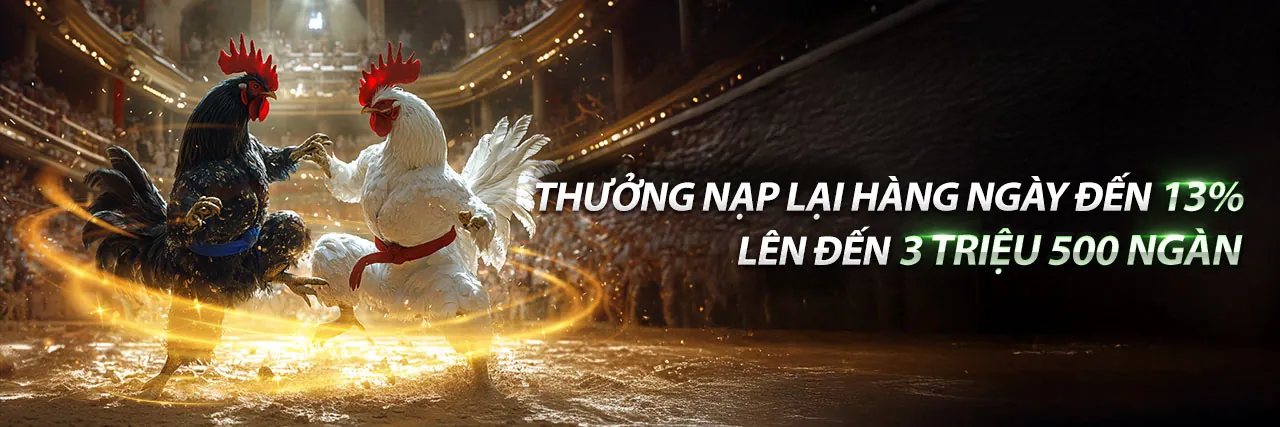 Đá gà trực tuyến kịch tính tại Xin888 link mới